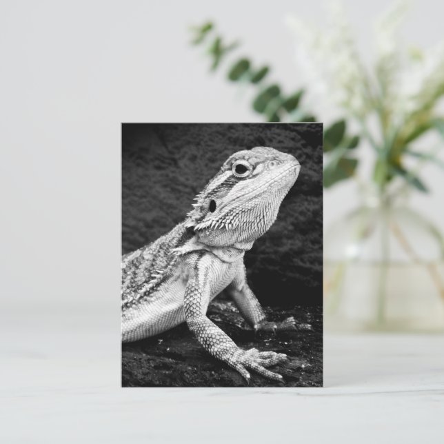 Lizard Vykort (Stående Fram)