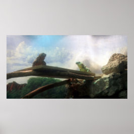 Lizards Ansikte av Poster/skriv ut Poster