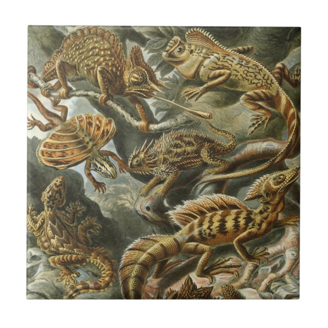 Lizards by Ernst Haeckel Vintage Lacertilia Animal Kakelplatta (Framsidan)