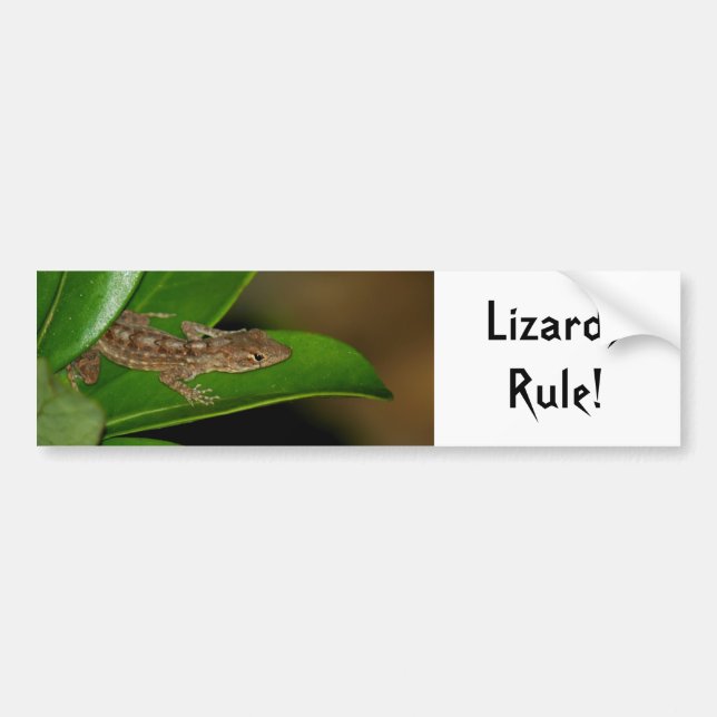 Lizards Rule Bumper Sticker Bildekal (Framsidan)