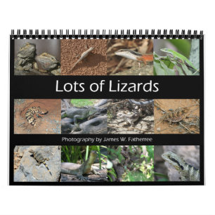Lizards Wall Calendar av J.W. Faderträdet. Kalender