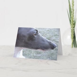 Lizzie's Close up Kort