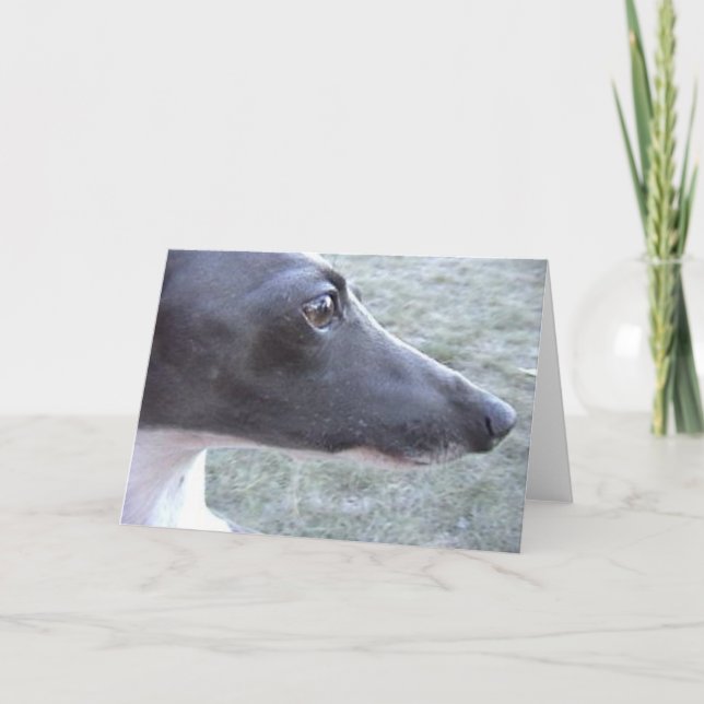 Lizzie's Close up Kort (Framsida)