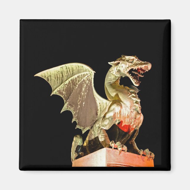 Ljubljana 01A Magnet (Framsidan)