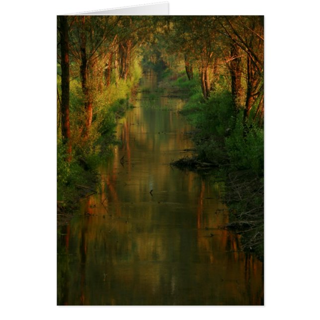 Ljubljana heder hälsningskort (Framsidan)