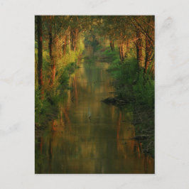 Ljubljana Moors Vykort