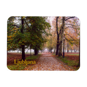Ljubljana-vykort Magnet