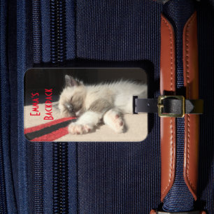 Ljud Asov Cute Siamese Kitten Photograph Bagagebricka