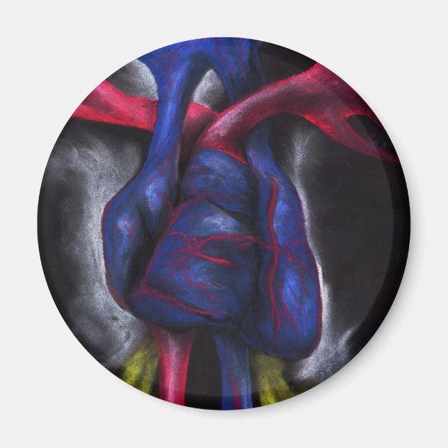 Ljud av ett blått hjärta - anatomiskt humant organ magnet (Framsidan)