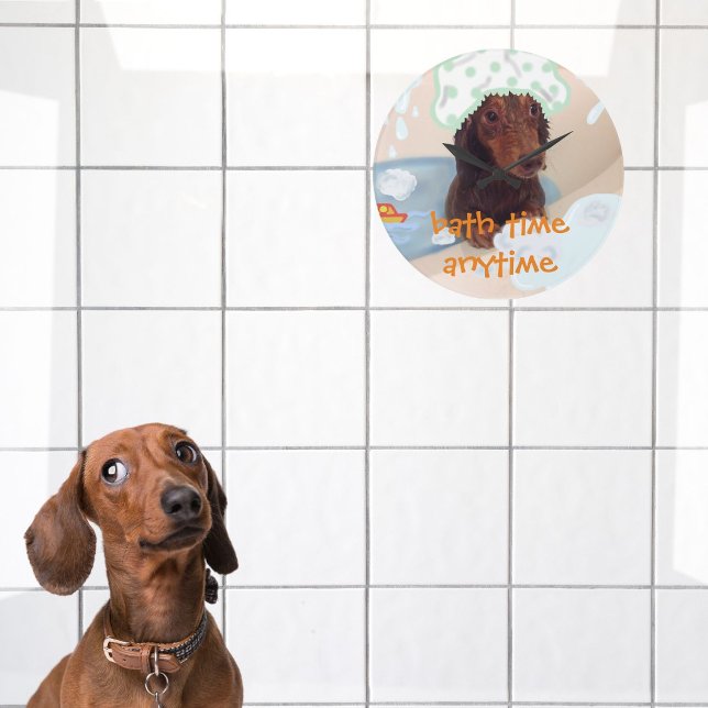 Ljud av hund badbalkur stor klocka (Dog clock to never miss bath time)