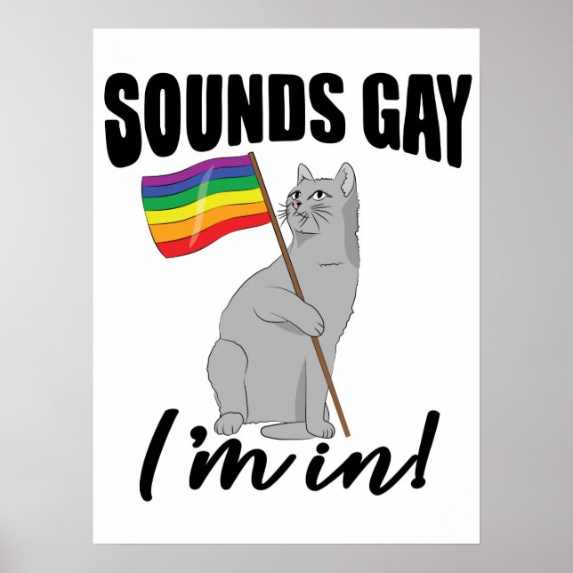 Ljud Gay jag är i katt Poster (Framsidan)