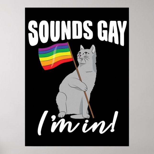 Ljud Gay jag är i katt Poster (Framsidan)