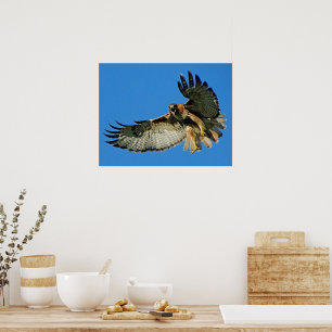 Ljud i varningsramens utskrift poster