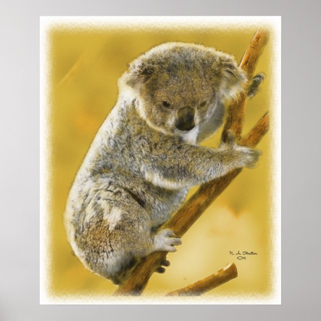 Ljud.. Koala Bear... Poster och skriv ut! (Framsidan)