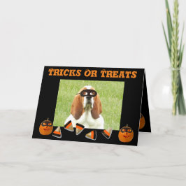 Ljud- och pumpkin Halloween-kort för funny och kut Kort