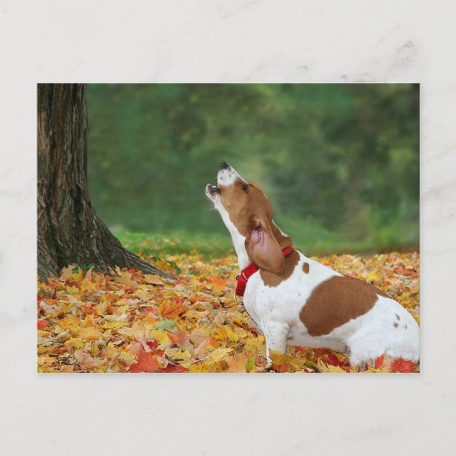 Ljud Vykort (Framsida)