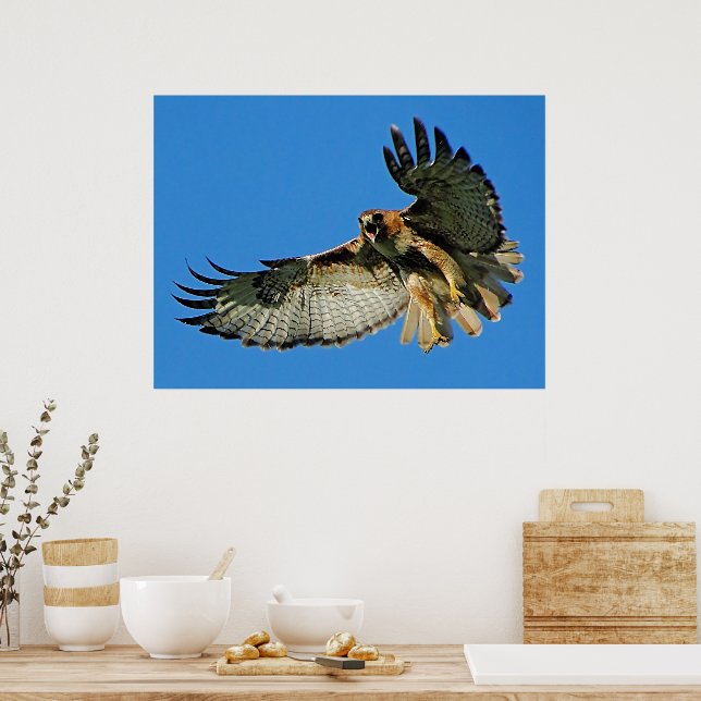 Ljudet från Larmet Rama Intryck Poster (Kök)