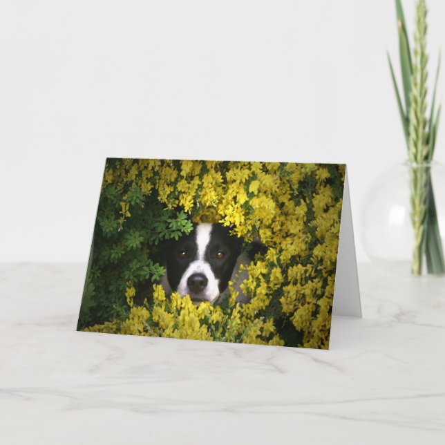 Ljudig och cute Hund i Blommor Birthday Card Kort (Framsida)