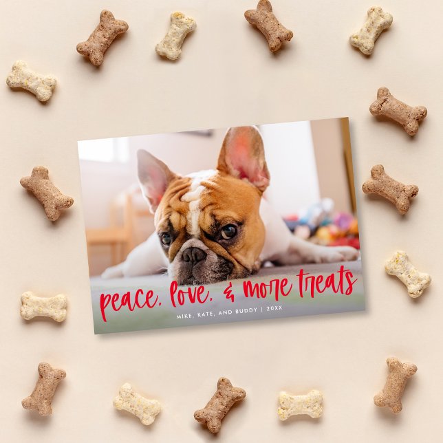 Ljudigt Cute Hund Cat Treats-Helgdag-fotokort Julkort (Skapare uppladdad)