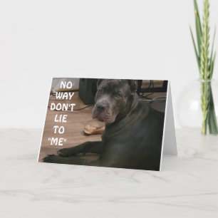 Ljug INTE TILL MIG, DU KAN INTE VARA 18!!!!! KORT