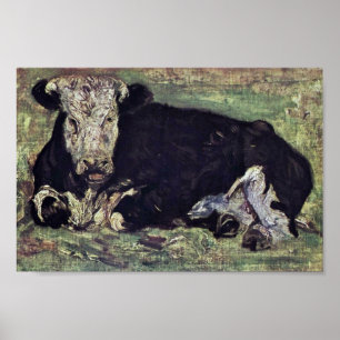 Ljugande av kummel av Vincent Van Gogh Poster