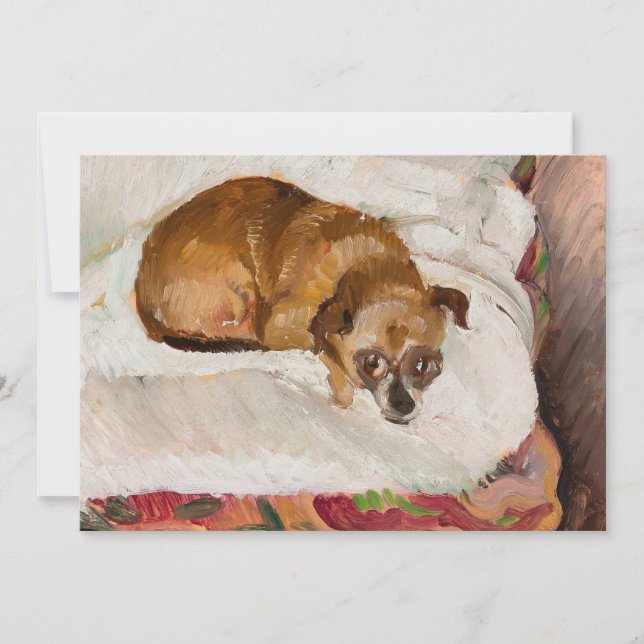 Ljuger Hund | Zygmunt Waliszewski (Framsida)