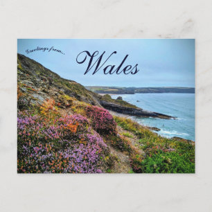 Ljung i Pembrokeshire Wales Vykort