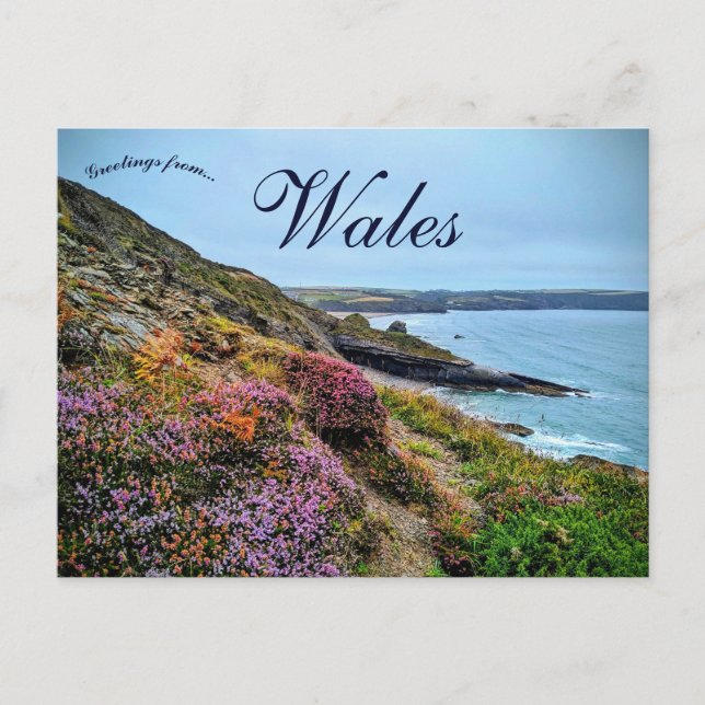 Ljung i Pembrokeshire Wales Vykort (Framsida)