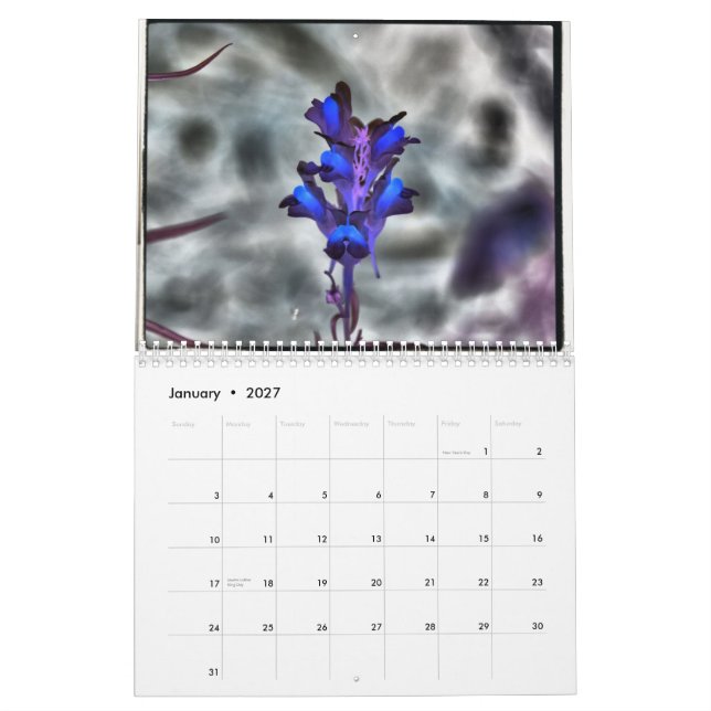LjungHarty fotografi Kalender (Jan 2027)