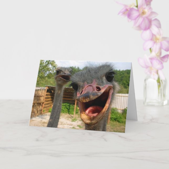 Ljuny Ostrich Bird Couple-årsdag Kort (Orkide)