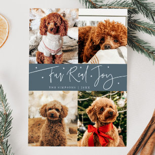 Ljuny Päls Real Joy Hund Photo Slate Blue jul Julkort