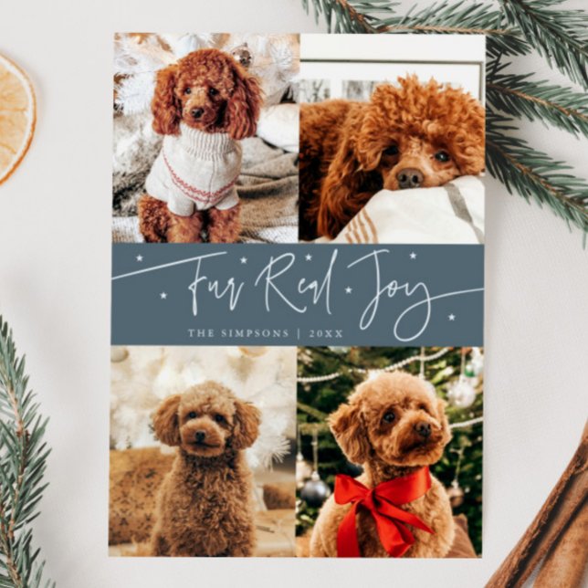 Ljuny Päls Real Joy Hund Photo Slate Blue jul Julkort (Skapare uppladdad)