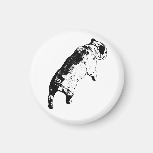 Ljus accent magnet (Framsidan)