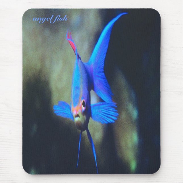 Ljus-blått-ängel fisk, mousepad musmatta (Framsidan)