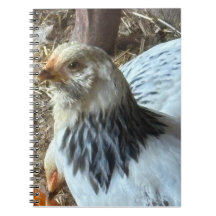Ljus Brahma CHicken Anteckningsbok