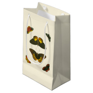 Ljus Butterflies by Pieter Cramer