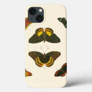 Ljus Butterflies by Pieter Cramer