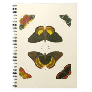 Ljus Butterflies by Pieter Cramer Anteckningsbok