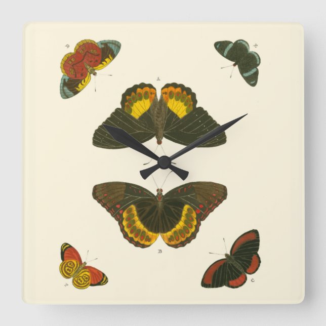 Ljus Butterflies by Pieter Cramer Fyrkantig Klocka (Framsida)