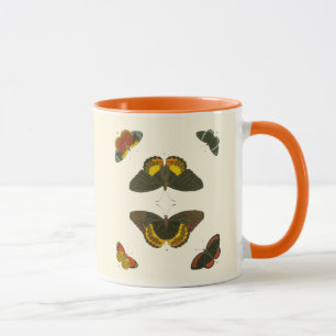 Ljus Butterflies by Pieter Cramer Mugg