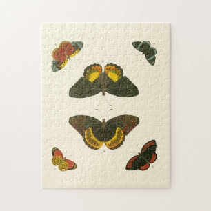 Ljus Butterflies by Pieter Cramer Pussel