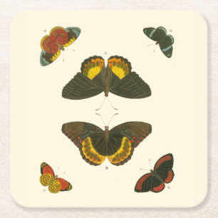 Ljus Butterflies by Pieter Cramer Underlägg Papper Kvadrat