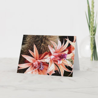 ljus cactus blomma helgkort