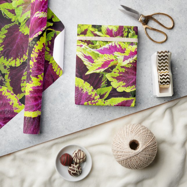 Ljus Coleus-bladsdesign Presentpapper (Hantverk)