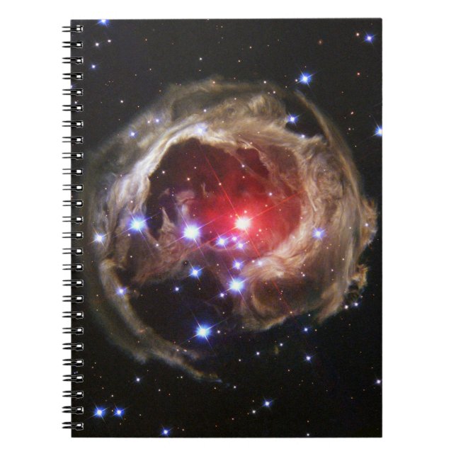 Ljus ekonotbok anteckningsbok med spiral (Framsidan)