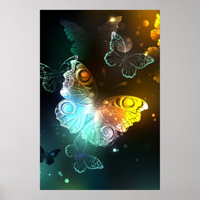 Ljus fjäril och nattfjärilar poster (Framsidan)