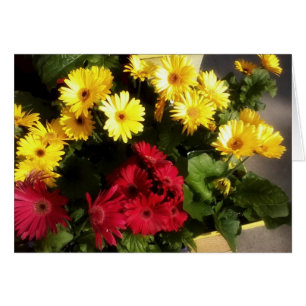 Ljus Flower Card OBS Kort