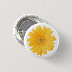 Ljus gul Gerberadaisyblomma Knapp