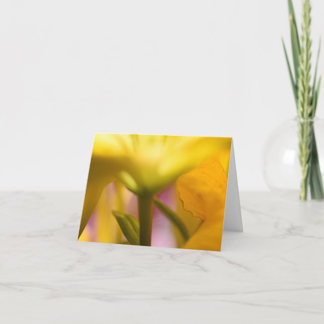 Ljus Gult Blanka tackkort (Framsida)