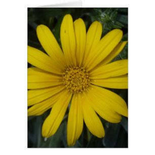 ljus gult blomma hälsningskort